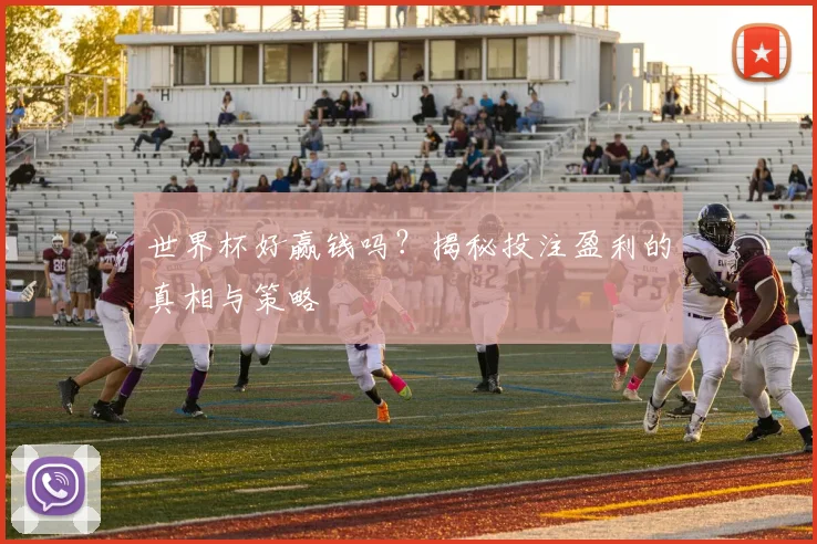 世界杯好赢钱吗？揭秘投注盈利的真相与策略