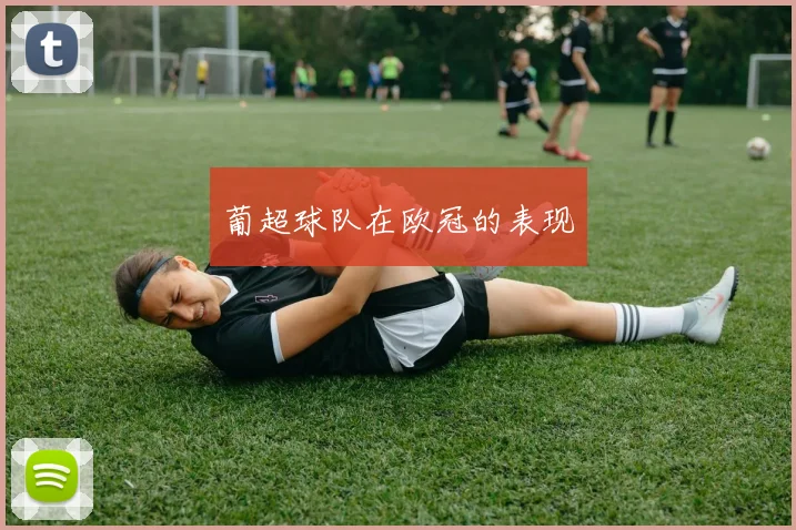 葡超球队在欧冠的表现