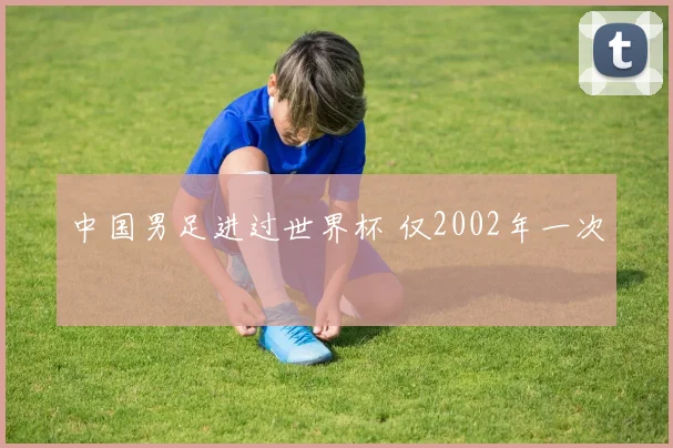 中国男足进过世界杯 仅2002年一次