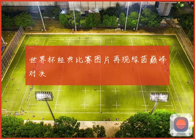 世界杯经典比赛图片再现绿茵巅峰对决