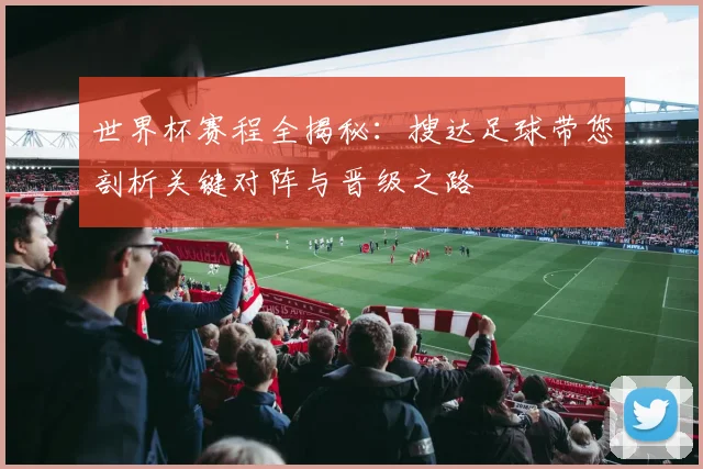 世界杯赛程全揭秘：搜达足球带您剖析关键对阵与晋级之路