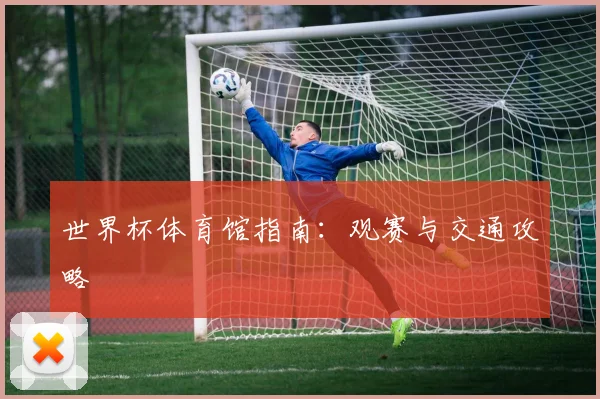 世界杯体育馆指南：观赛与交通攻略