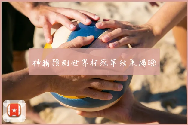 神猪预测世界杯冠军结果揭晓