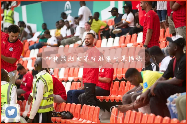 神猪预测世界杯冠军结果揭晓