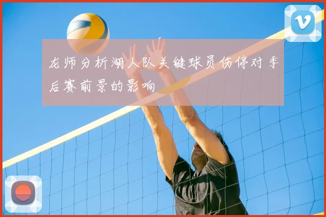 龙师分析湖人队关键球员伤停对季后赛前景的影响