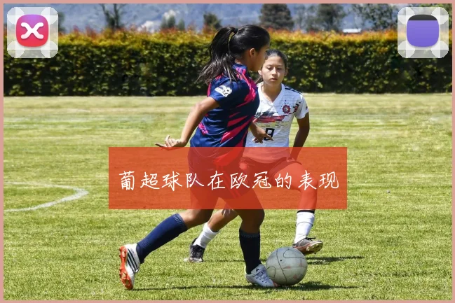 葡超球队在欧冠的表现