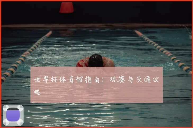 世界杯体育馆指南:观赛与交通攻略