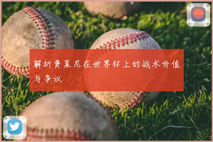 解析费莱尼在世界杯上的战术价值与争议
