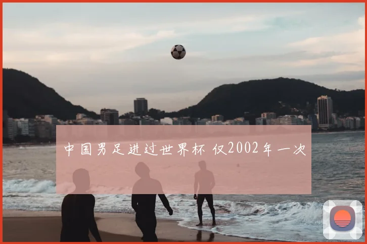 中国男足进过世界杯 仅2002年一次