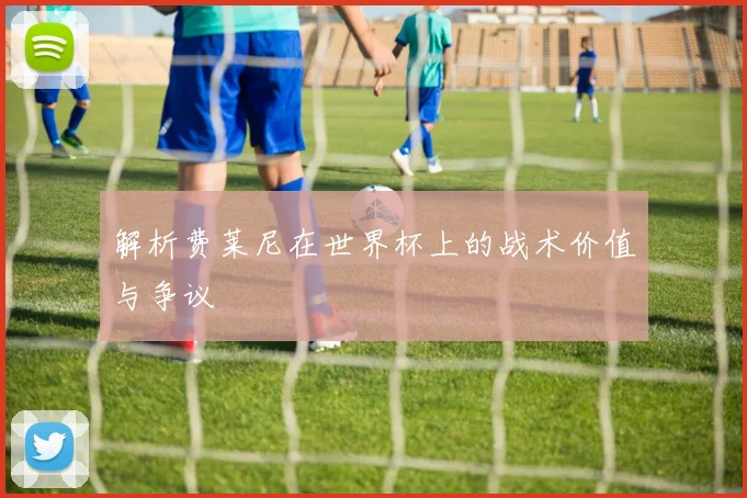 解析费莱尼在世界杯上的战术价值与争议
