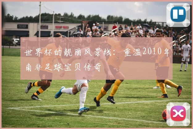 世界杯的靓丽风景线:重温2010年南非足球宝贝传奇